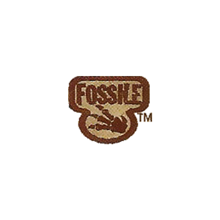 fossile-cartes-l-unit-pokemint