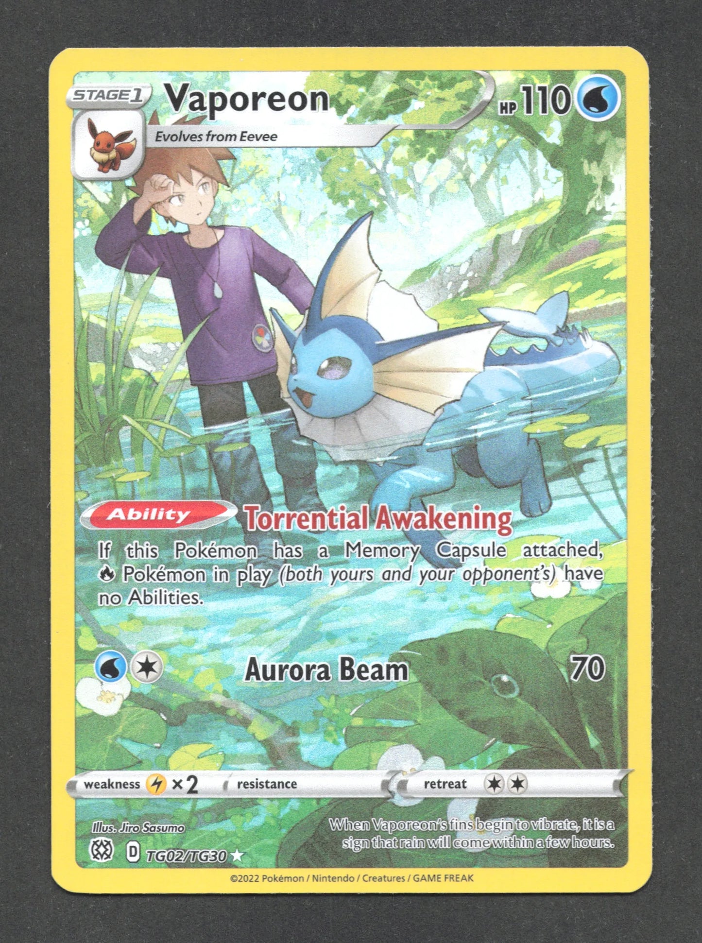 TG02/TG30 Vaporeon TG ANGLAIS - Anglais