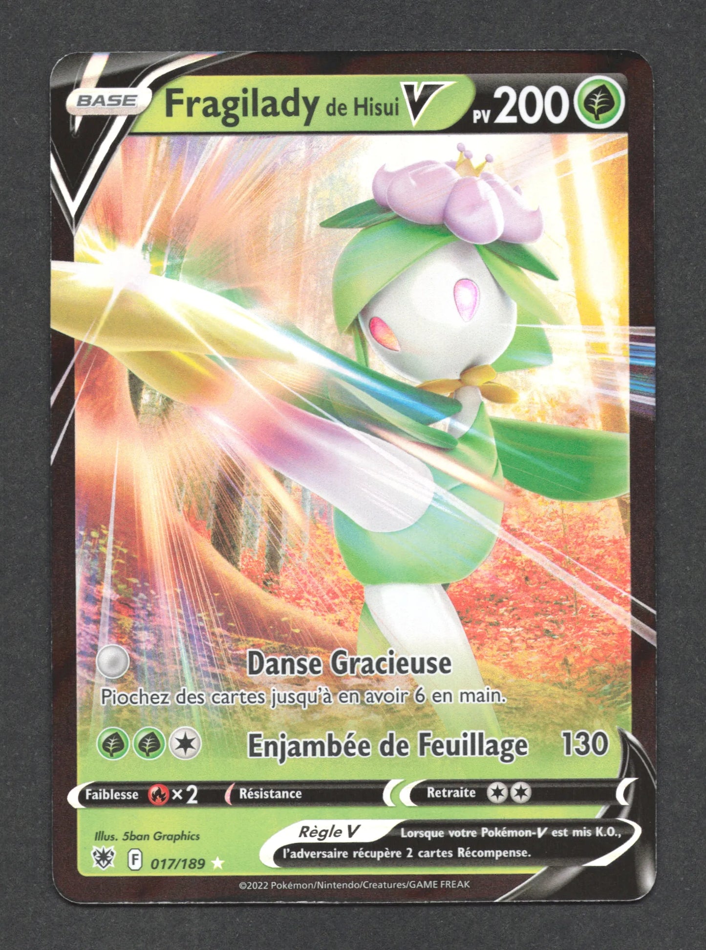 017/189 Fragilady V - Astres Radieux
