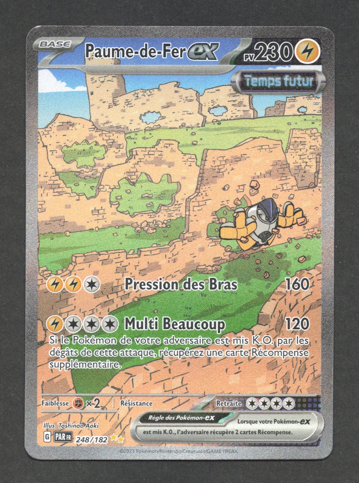 248/182 Paume de Fer EX - Faille Paradoxe