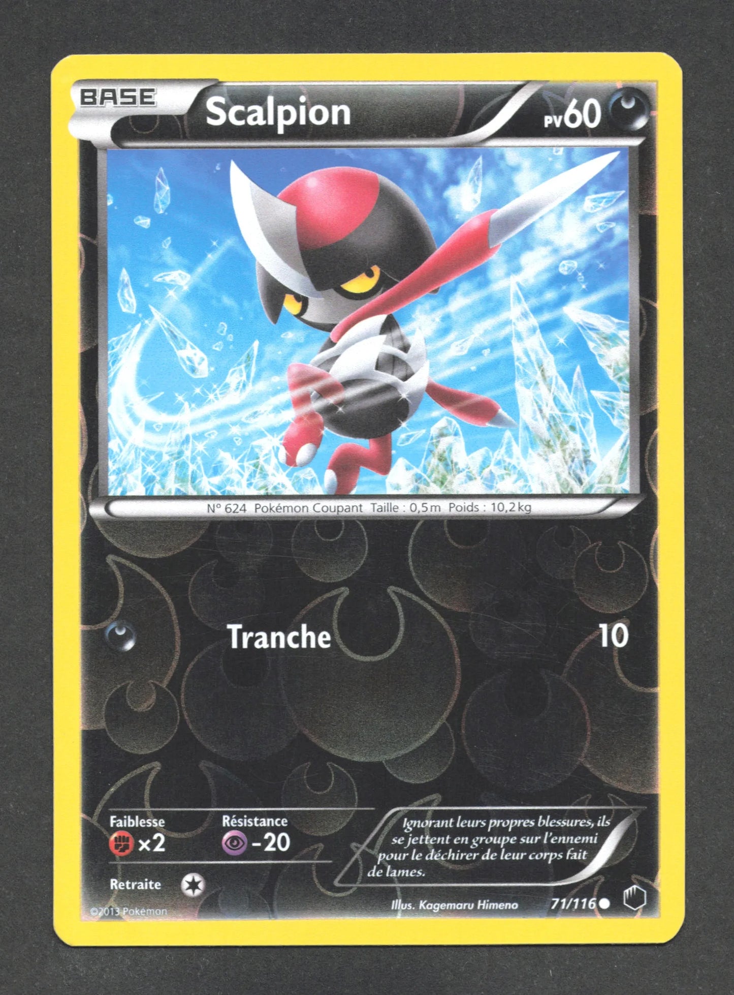 71/116 Scalpion REVERSE - Glaciation Plasma