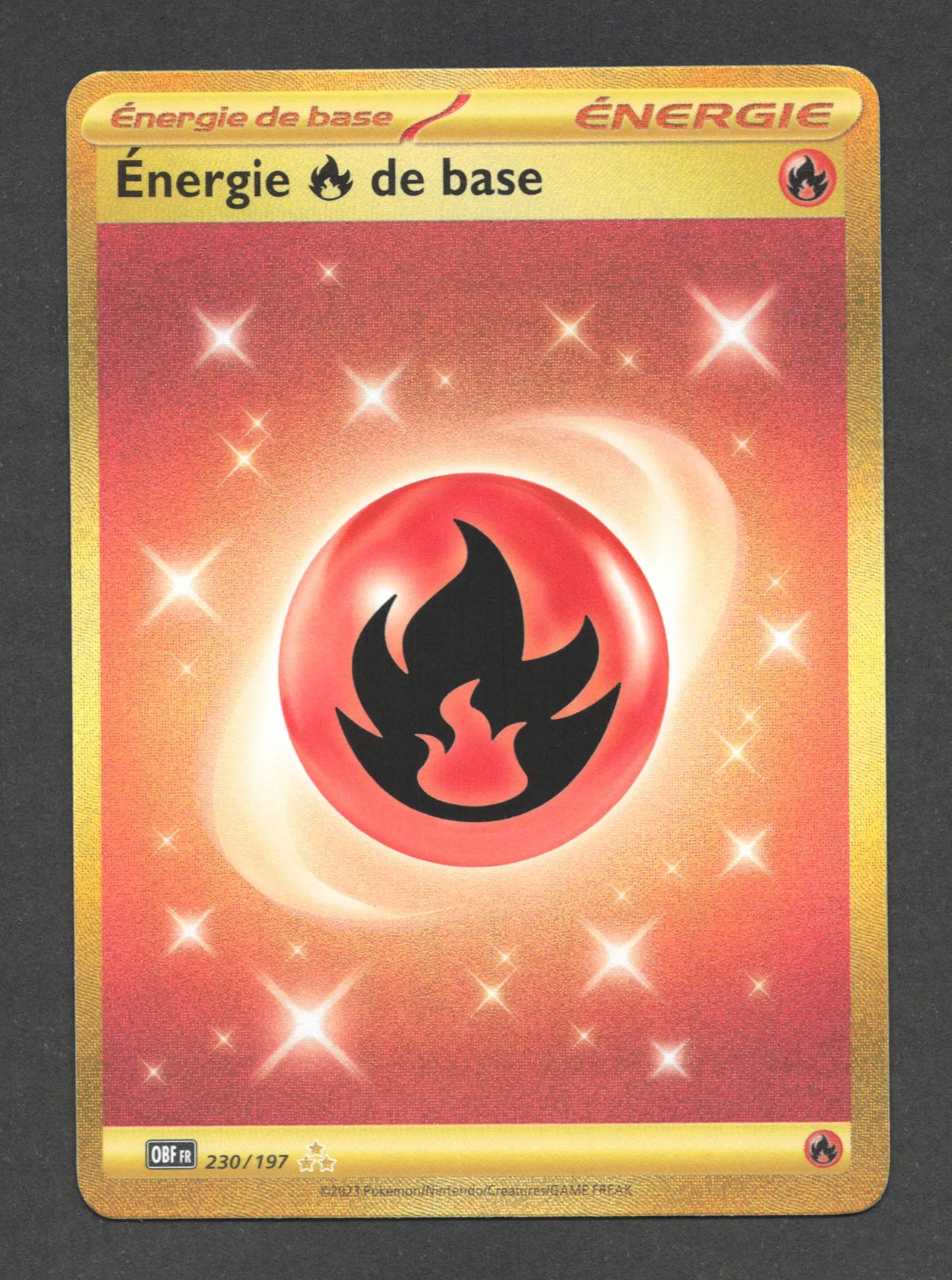 230/197 Energie Feu DRESSEUR - Flammes Obsidiennes