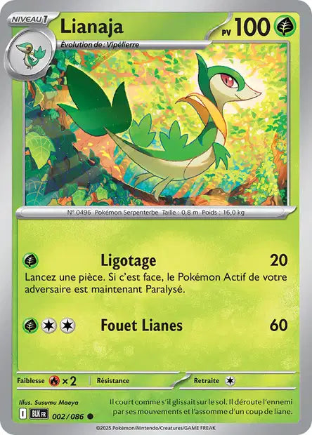 002/086 Lianaja MASTERBALL - Foudre Noire - Masterball