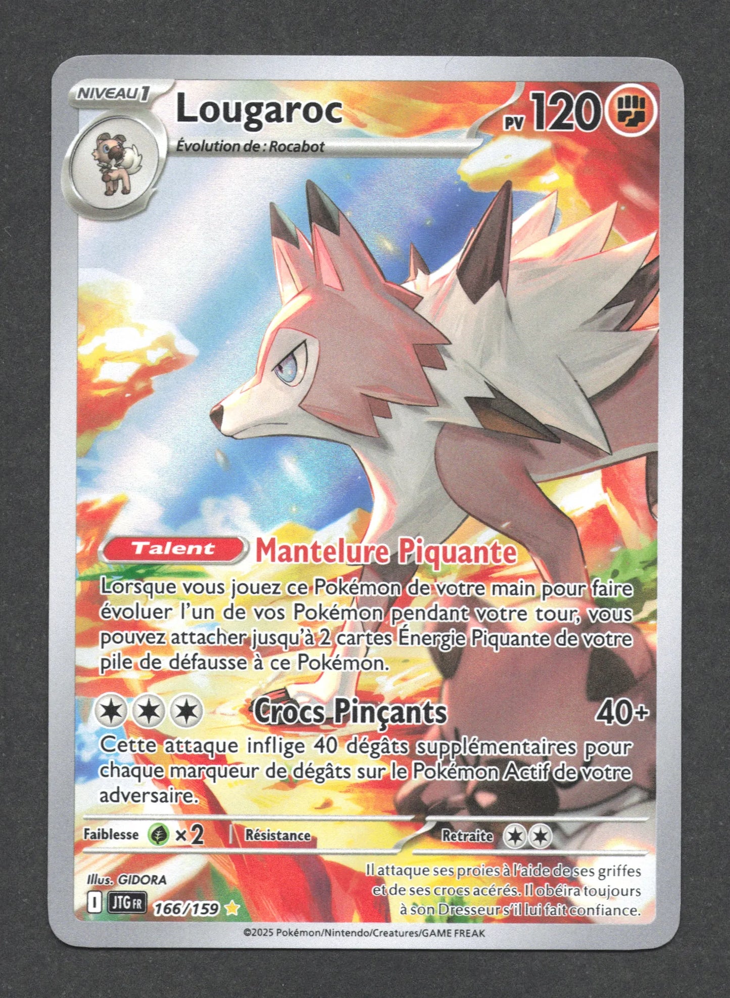 166/159 Lougaroc AR - Aventures Ensemble