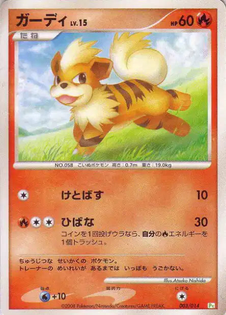 003/014 Caninos CO JP - Gift Box Dpt Turtwig