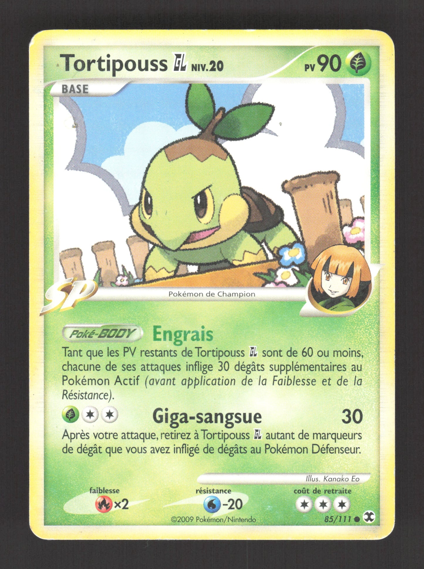 85/111 Tortipouss CO - Rivaux Émergeants
