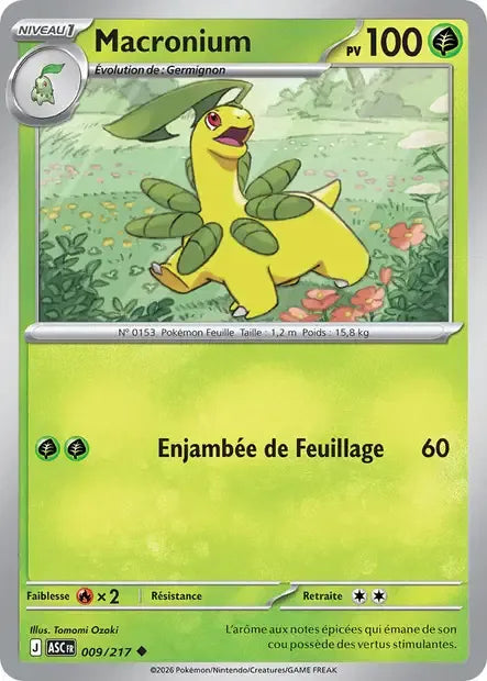 009/217 Macronium POKEBALL - Héros Transcendants