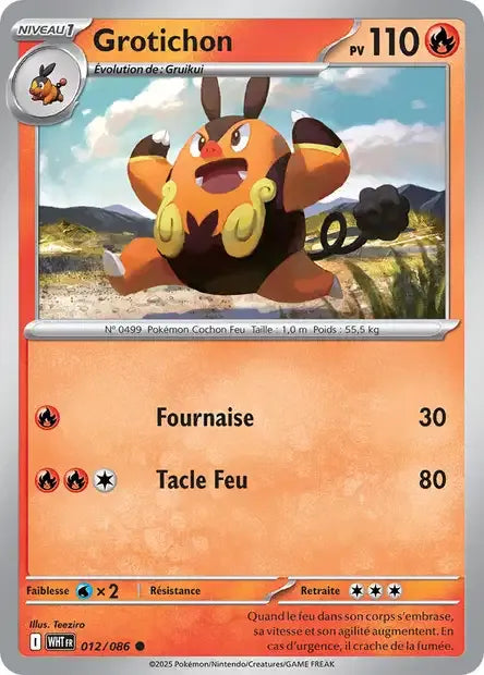 012/086 Grotichon POKEBALL - Flamme Blanche