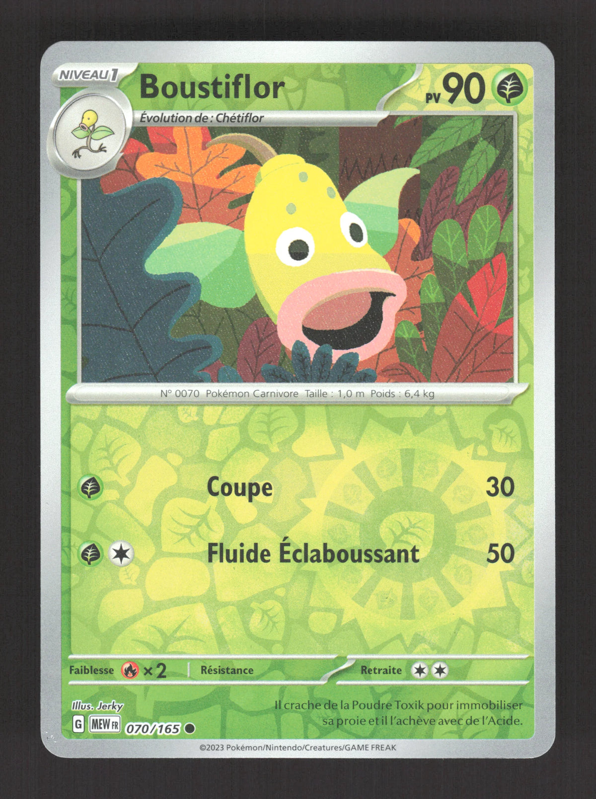 070/165 Boustiflor REVERSE - 151