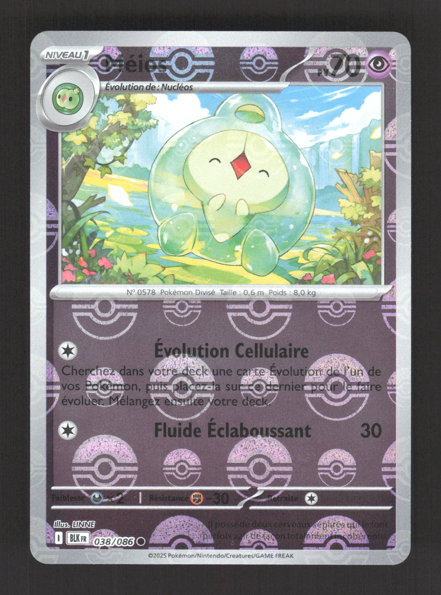 038/086 Meios POKEBALL - Foudre Noire