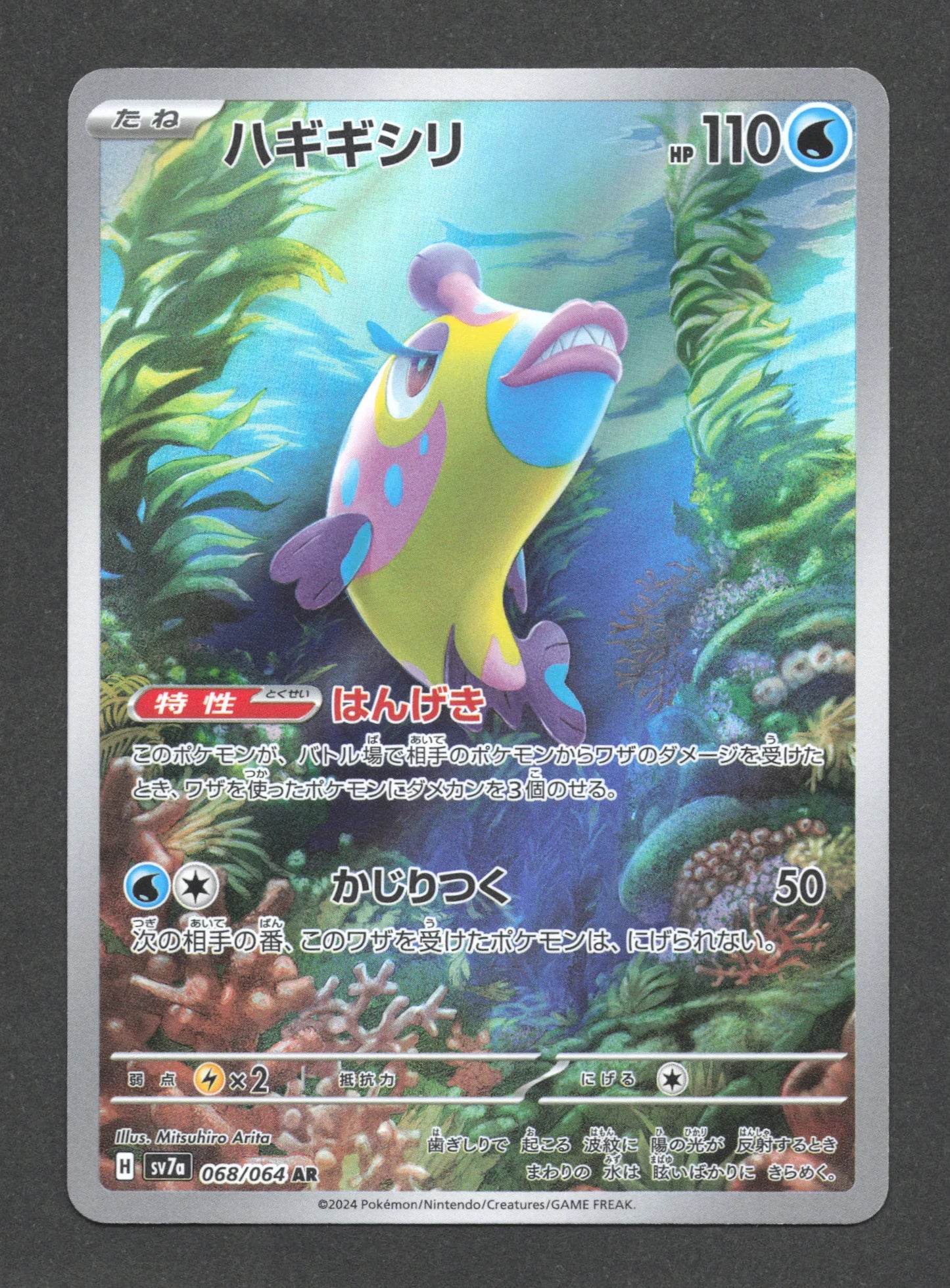 068/064 Denticrisse AR JP - Paradise Dragona