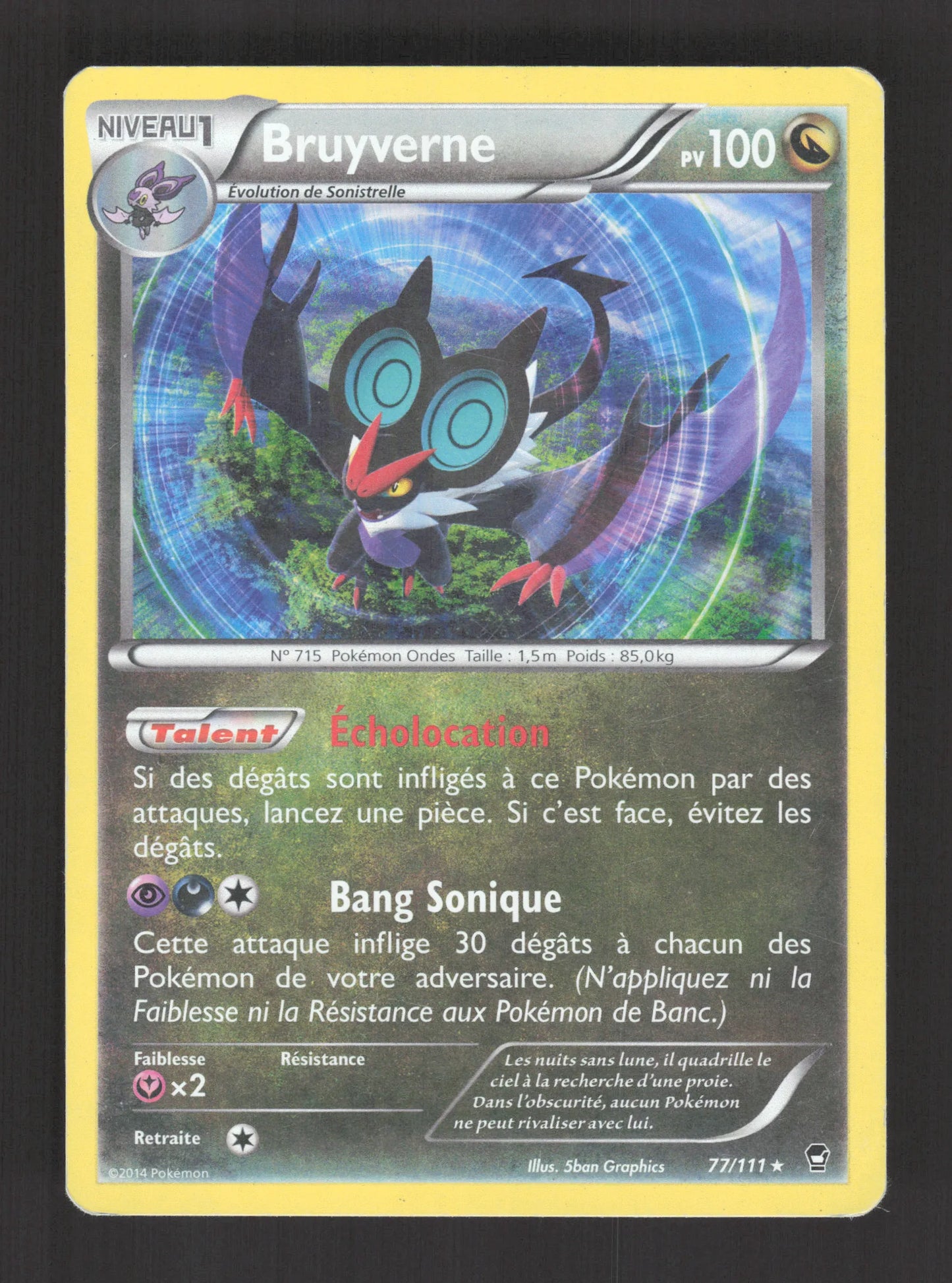 77/111 Bruyverne HOLO - Poings Furieux