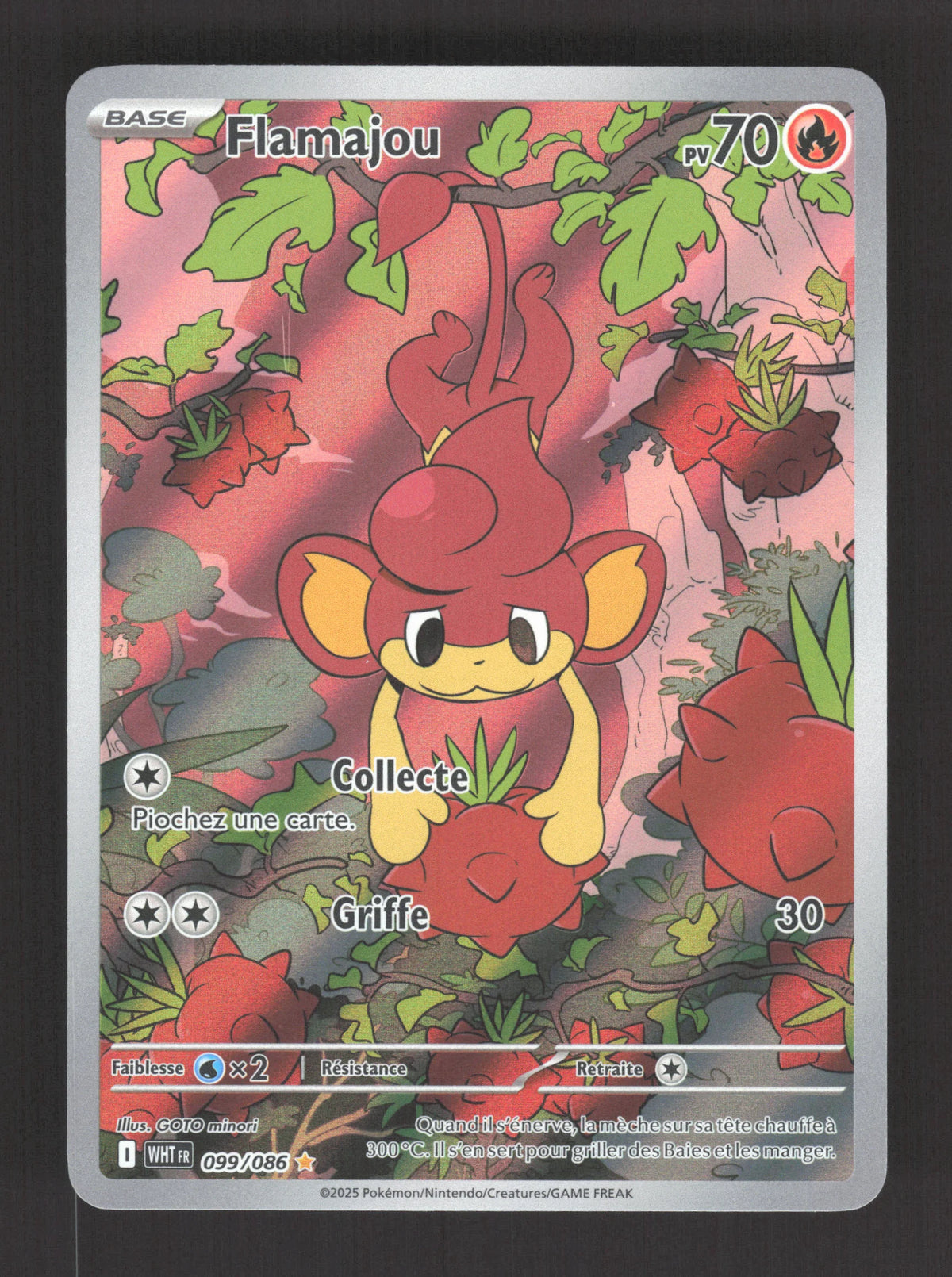 099/086 Flamajou AR - Flamme Blanche