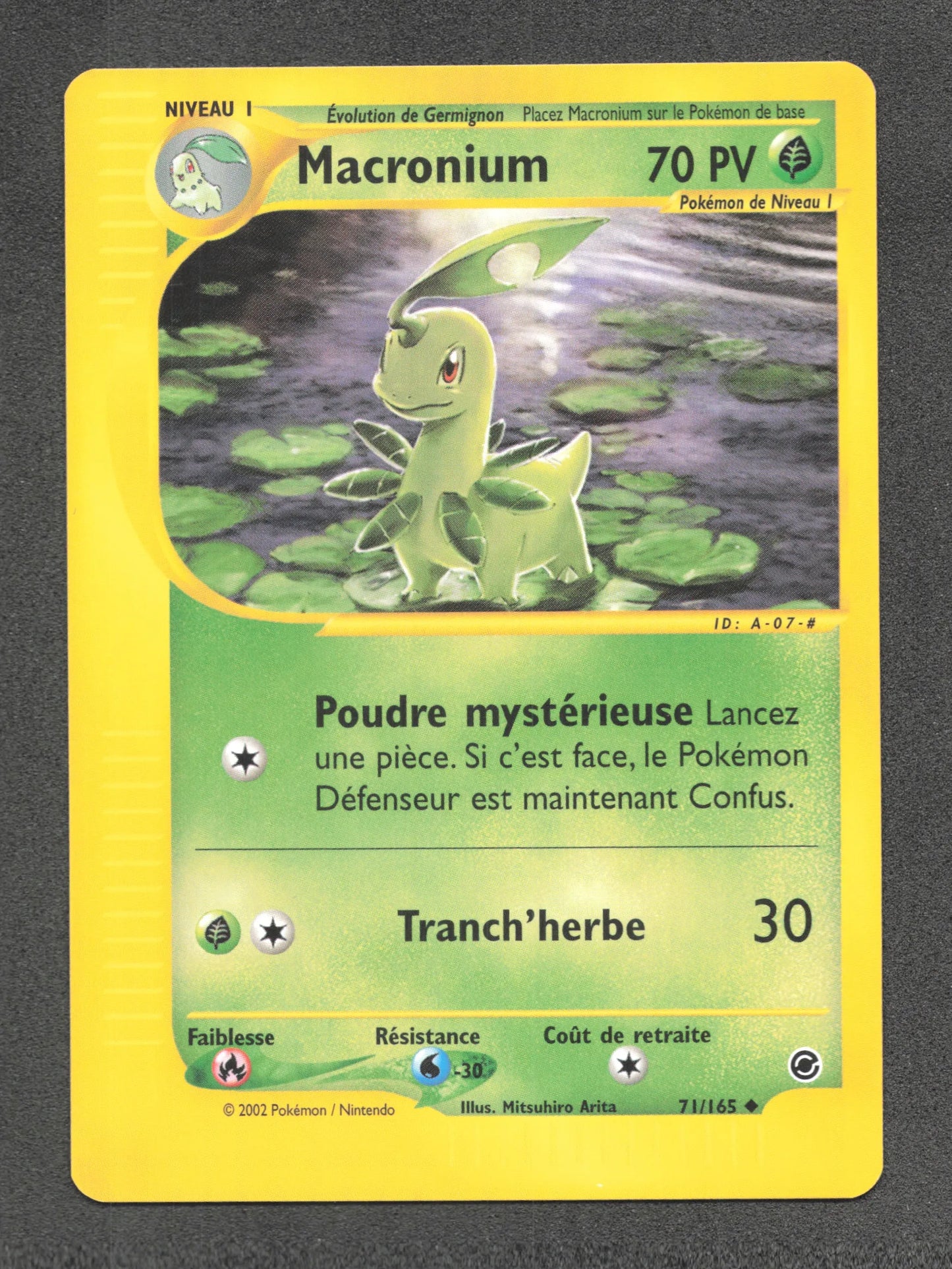 71/165 Macronium UNCO - Expedition