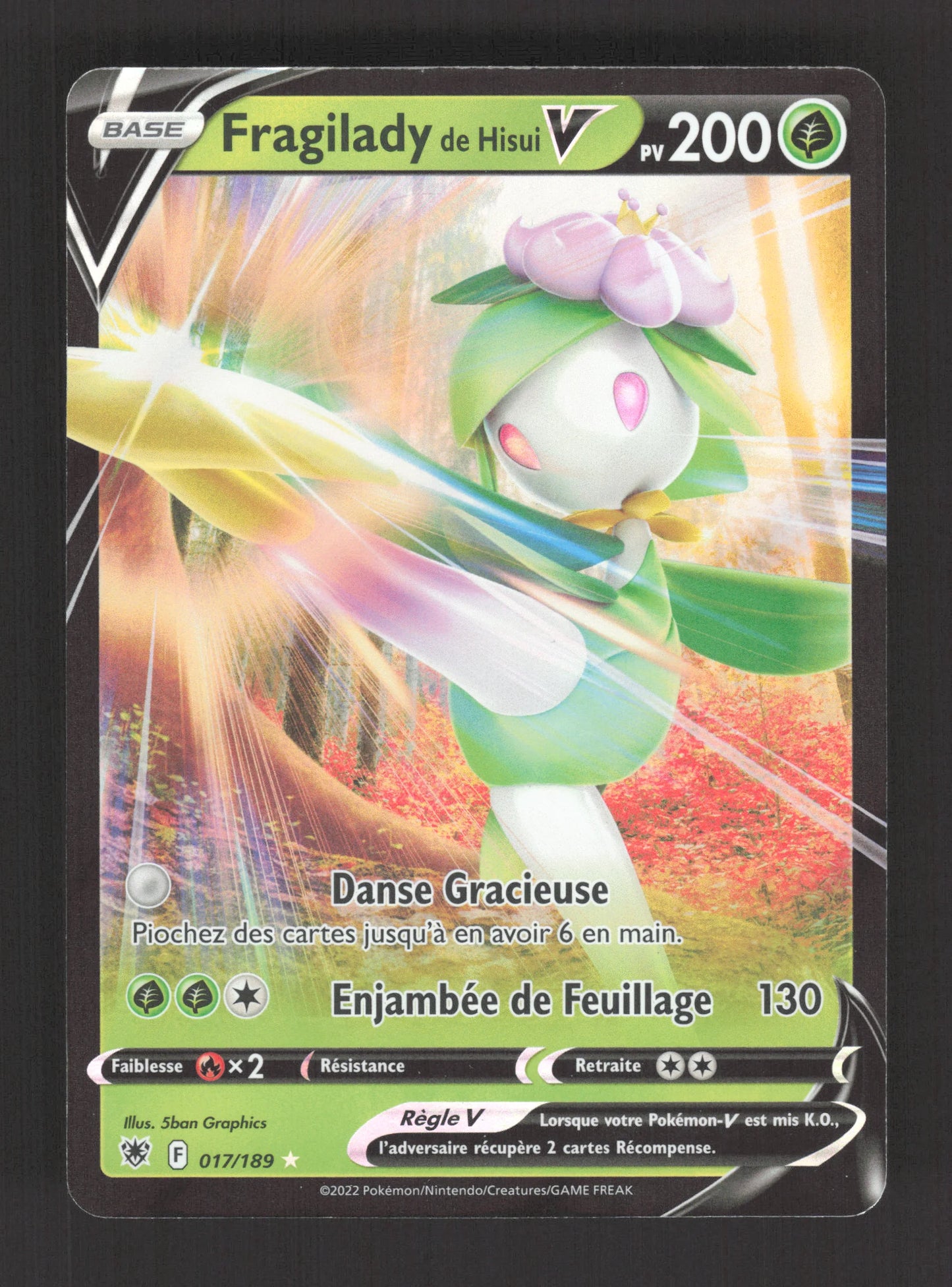 017/189 Fragilady V - Astres Radieux