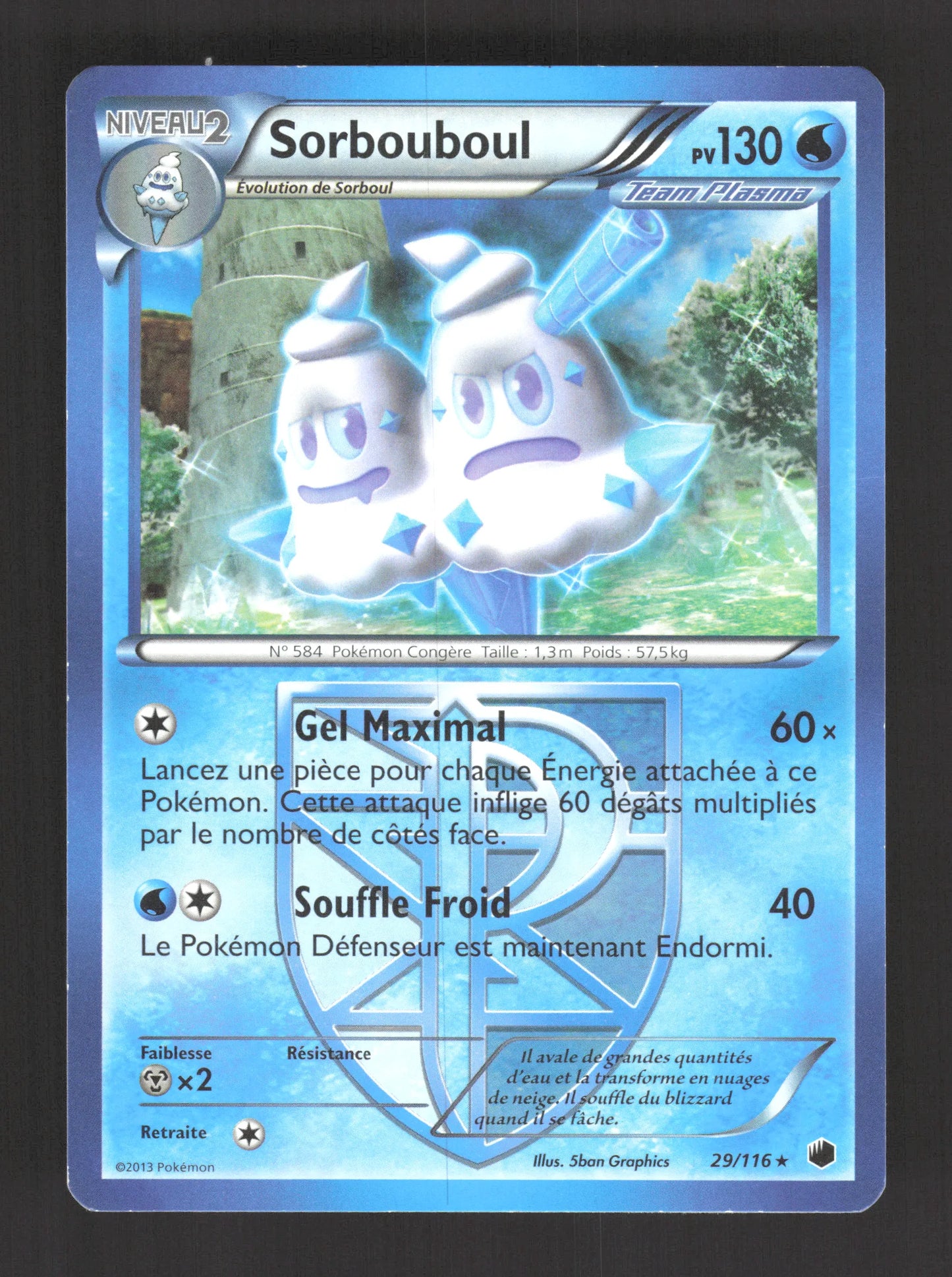 29/116 Sorbouboul RARE - Glaciation Plasma