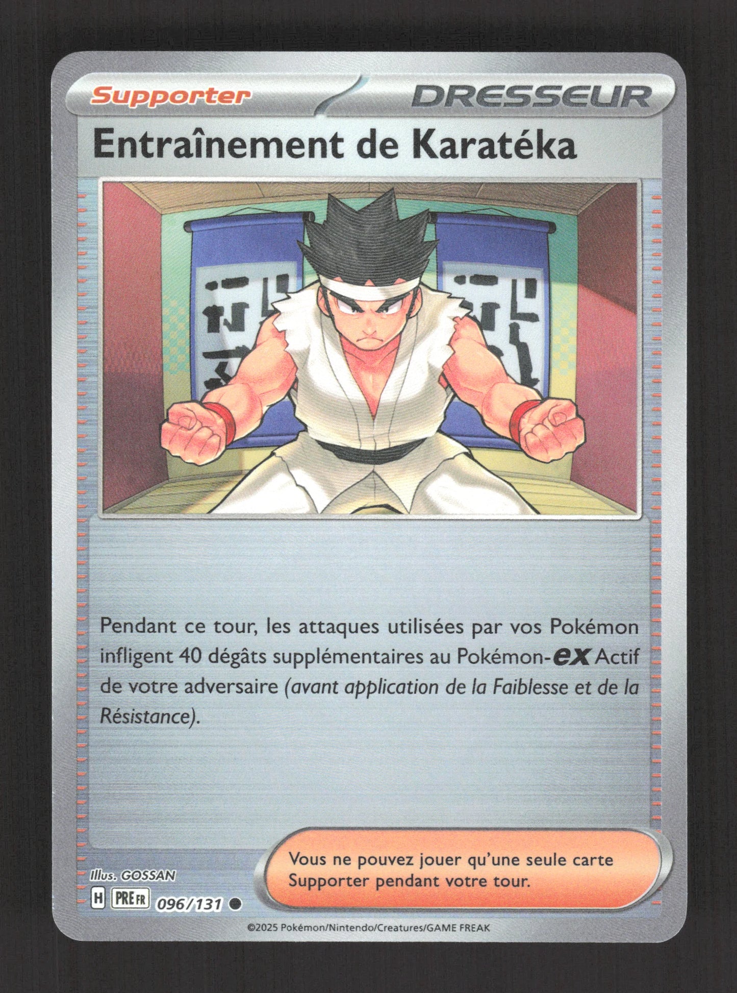 096/131 Entrainement de Karateka POKEBALL - Évolutions Prismatiques