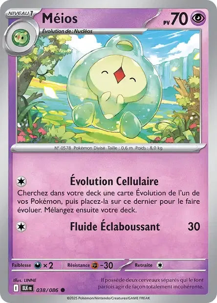 038/086 Meios POKEBALL - Foudre Noire