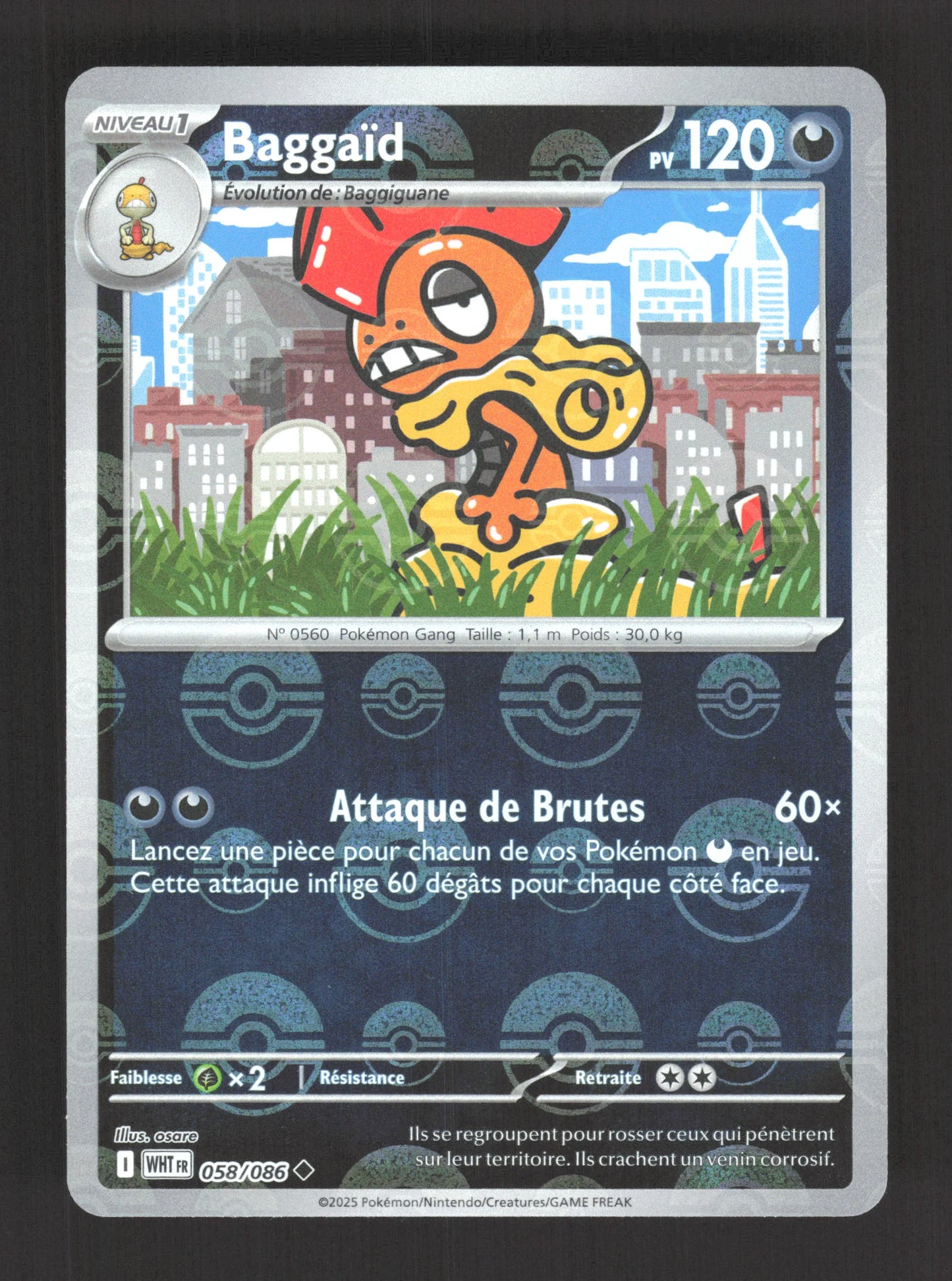 058/086 Baggaid POKEBALL - Flamme Blanche