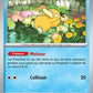 039/217 Psykokwak POKEBALL - Héros Transcendants