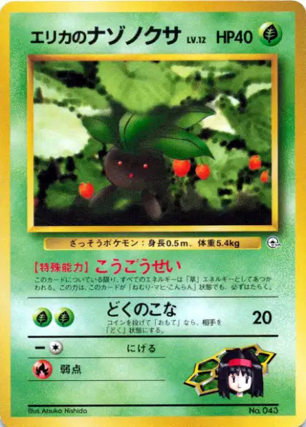 043 Mystherbe CO JP - Tamamushi City Gym