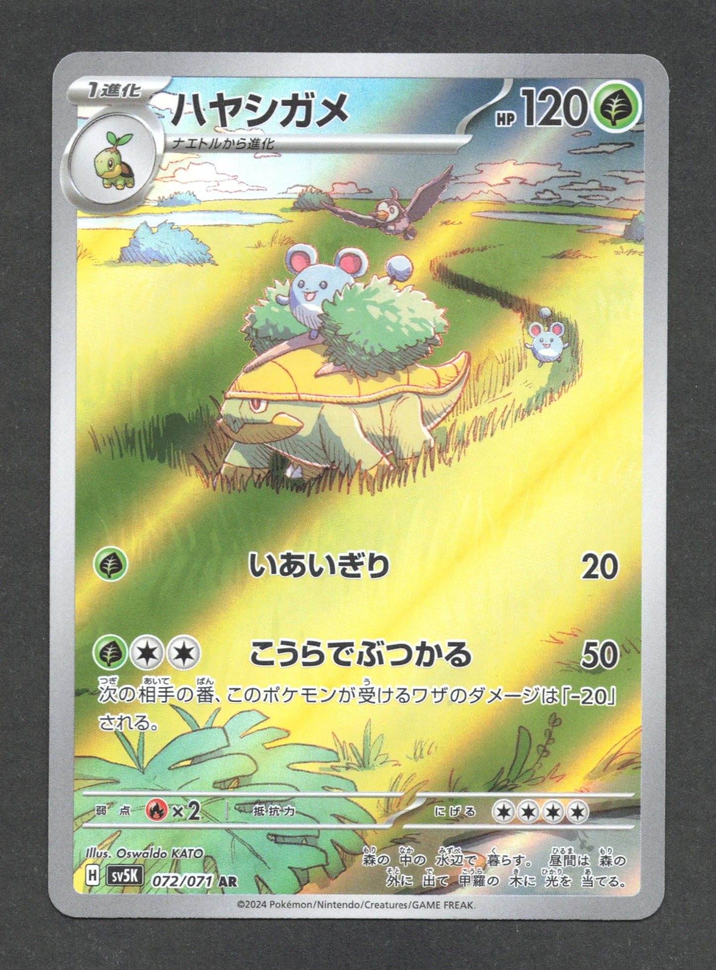 072/071 Boskara AR JP - Wild Force