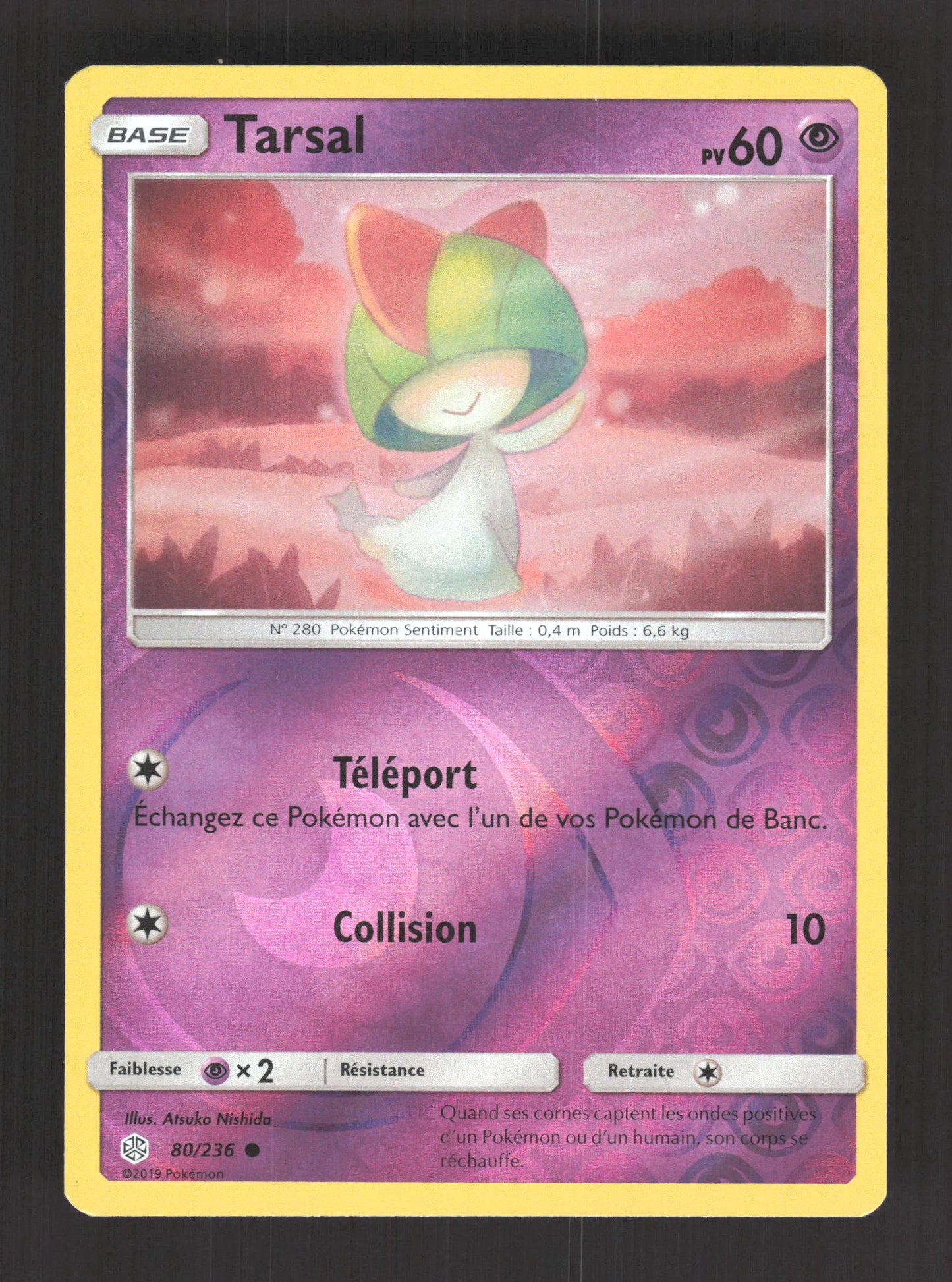 80/236 Tarsal REVERSE - Éclipse Cosmique