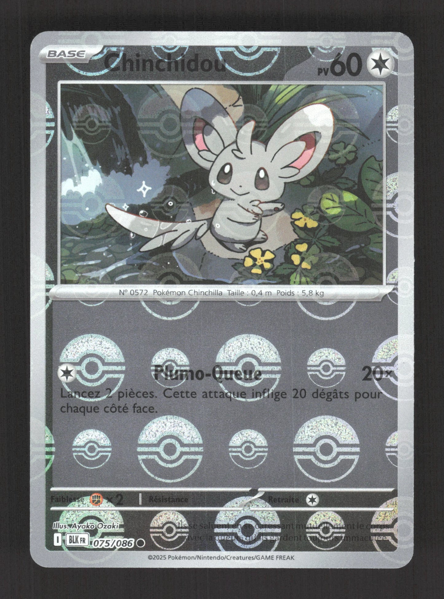 075/086 Chinchidou POKEBALL - Foudre Noire