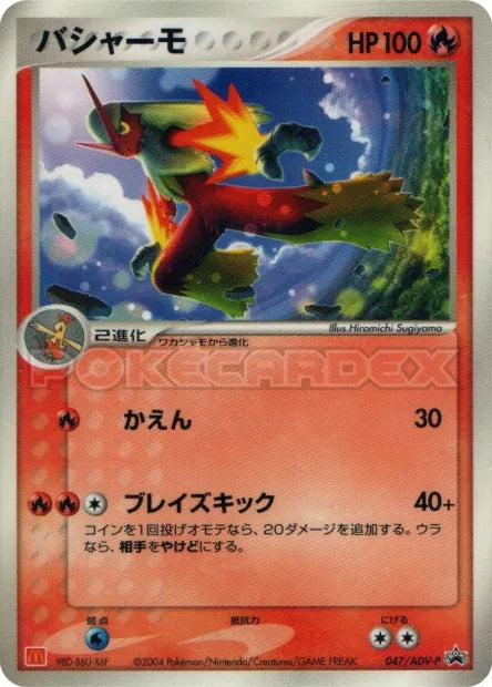 047/ADV-P Brasegali PROMO JP - ADV-P Promotional