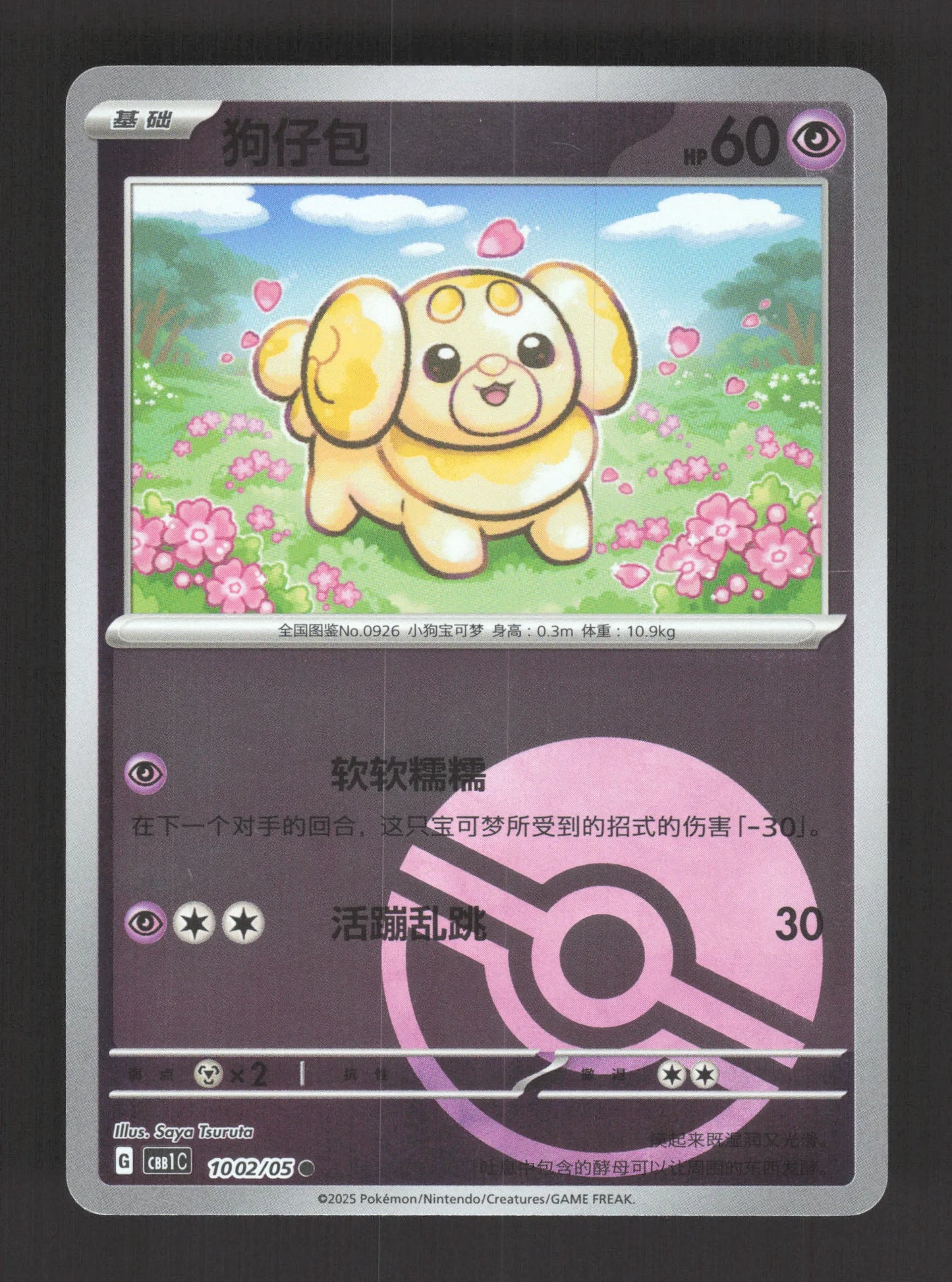 1002/05 Patachiot POKEBALL CN - Chinois