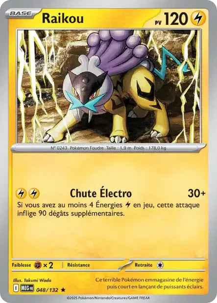 048/132 Raikou Holo - Méga-Évolution