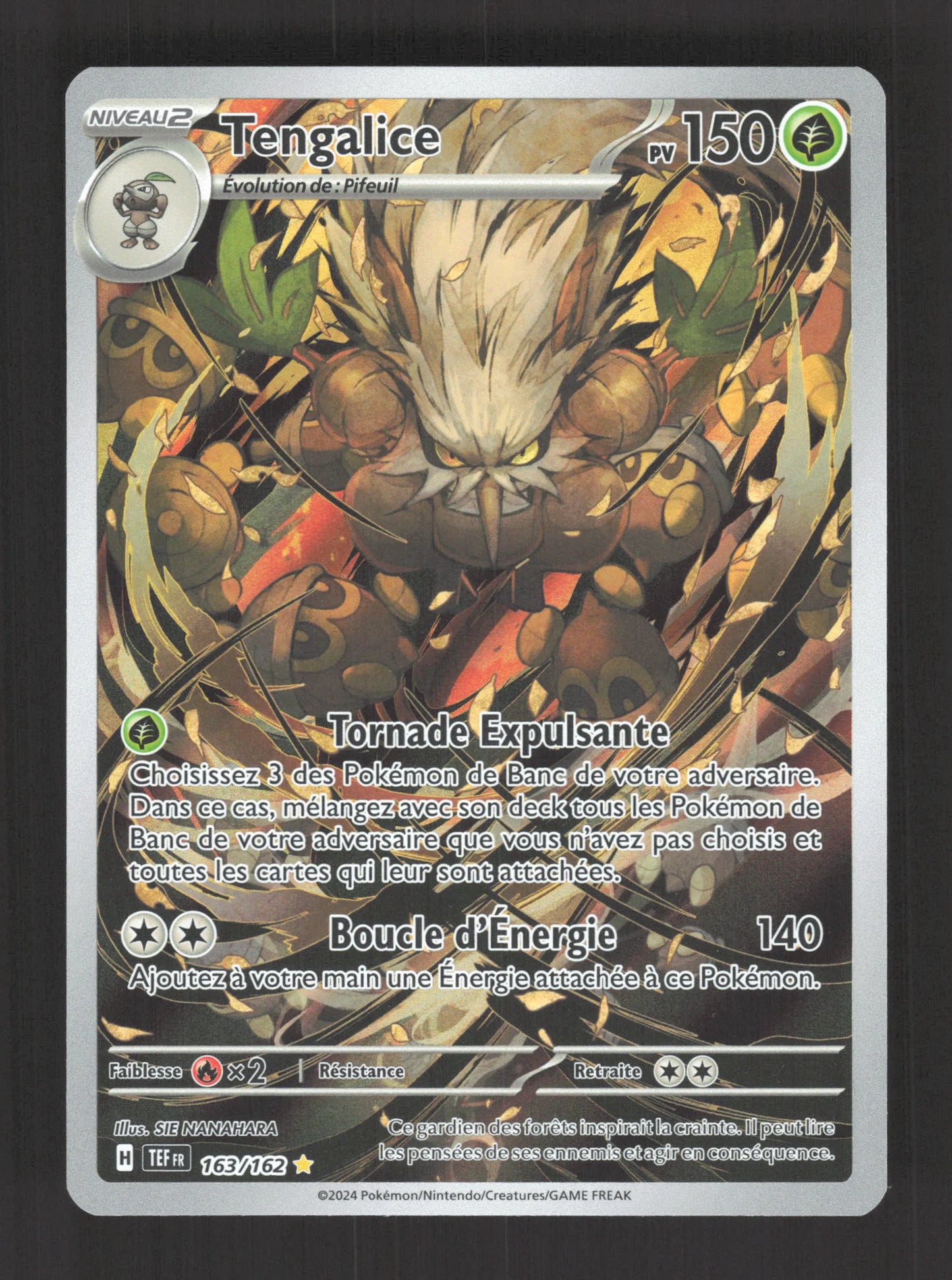163/162 Tengalice AR - Forces Temporelles
