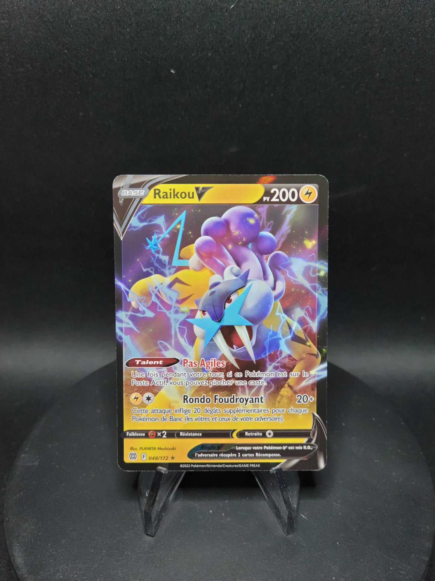 048/172 Raikou V - Stars Étincelantes