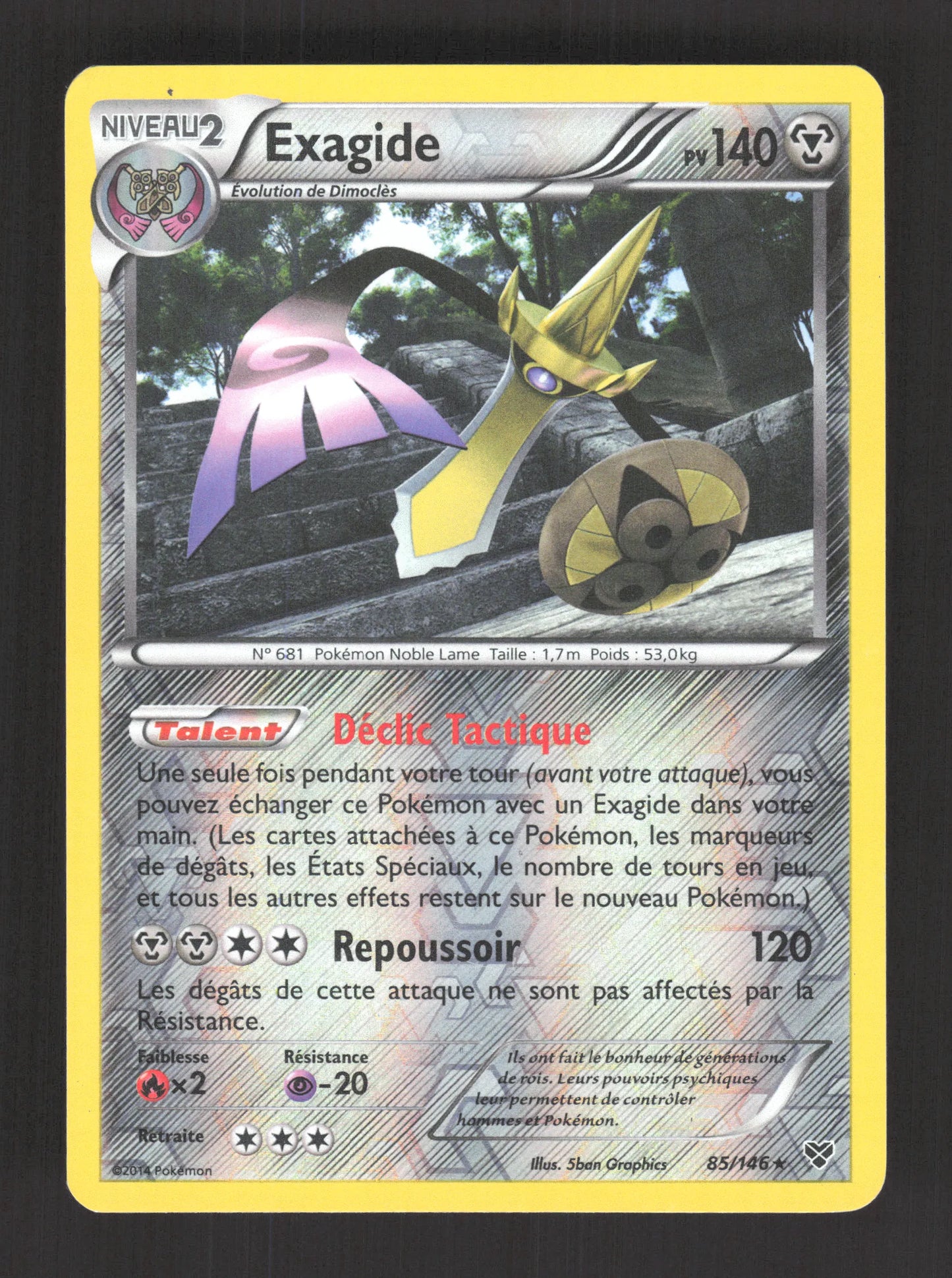 85/146 Exagide REVERSE - XY
