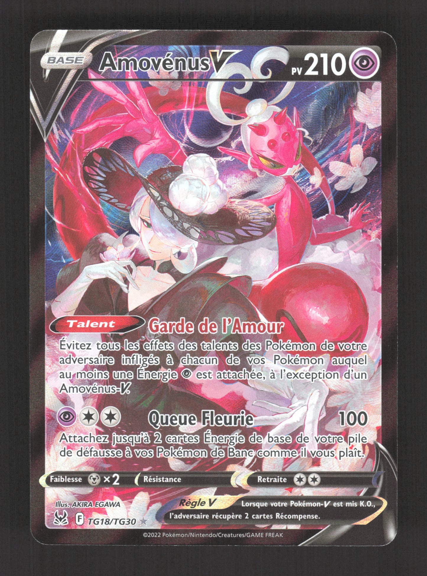 TG18/TG30 Amovenus V - Origine Perdue