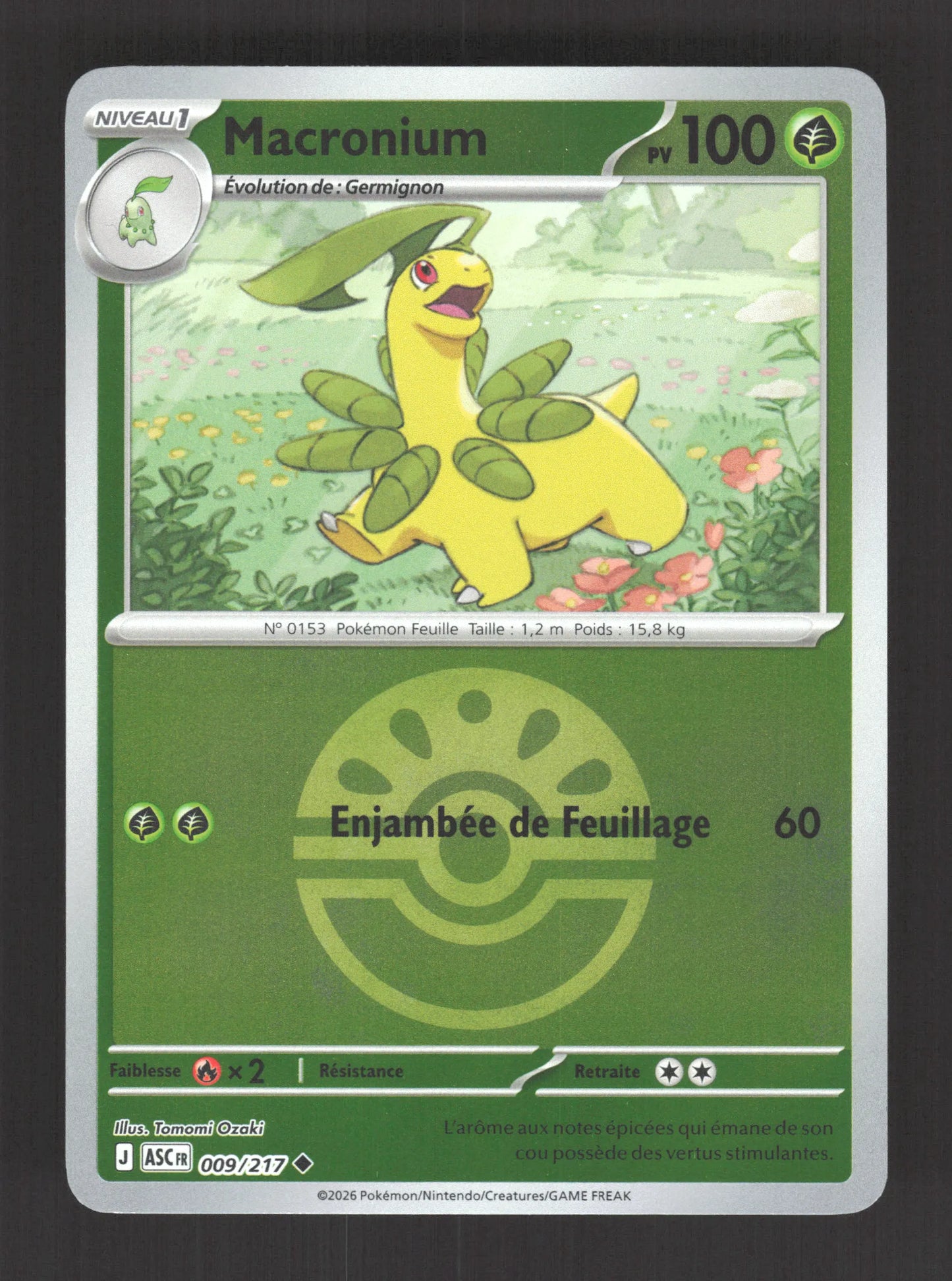 009/217 Macronium POKEBALL - Héros Transcendants
