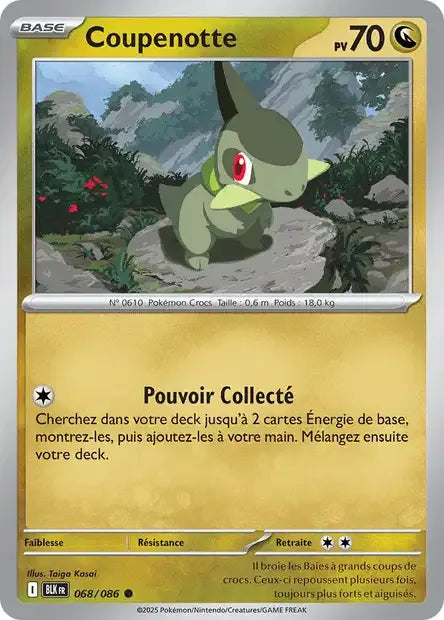 068/086 Coupenotte POKEBALL - Foudre Noire