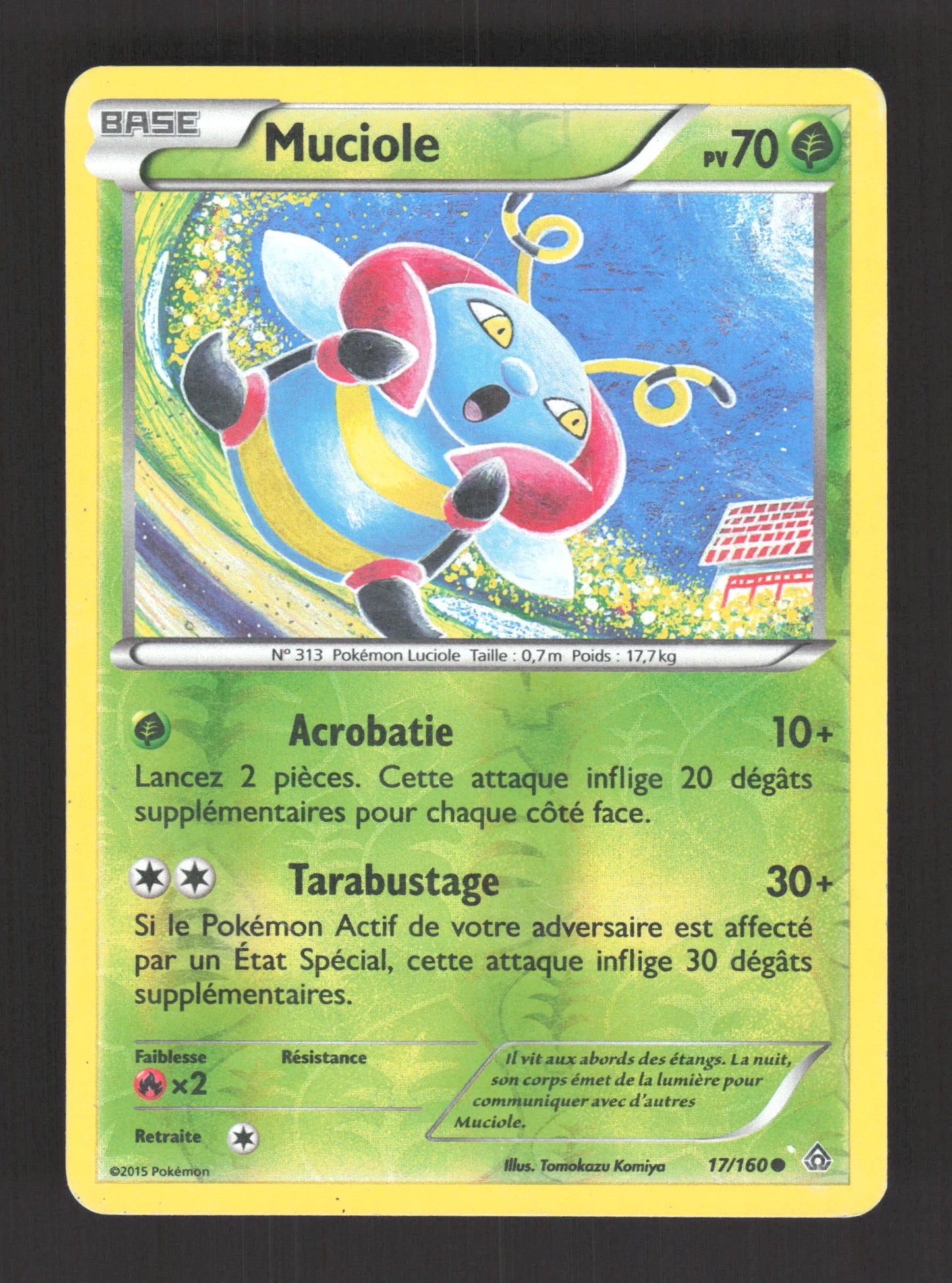 17/160 Muciole REVERSE - Primo-Choc