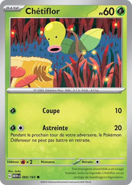069/165 Chetiflor REVERSE - 151