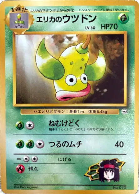 070 Boustiflor UNCO JP - Tamamushi City Gym
