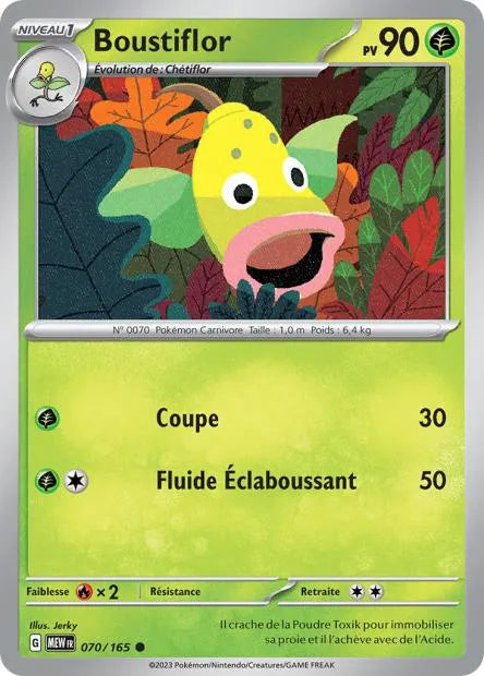 070/165 Boustiflor REVERSE - 151