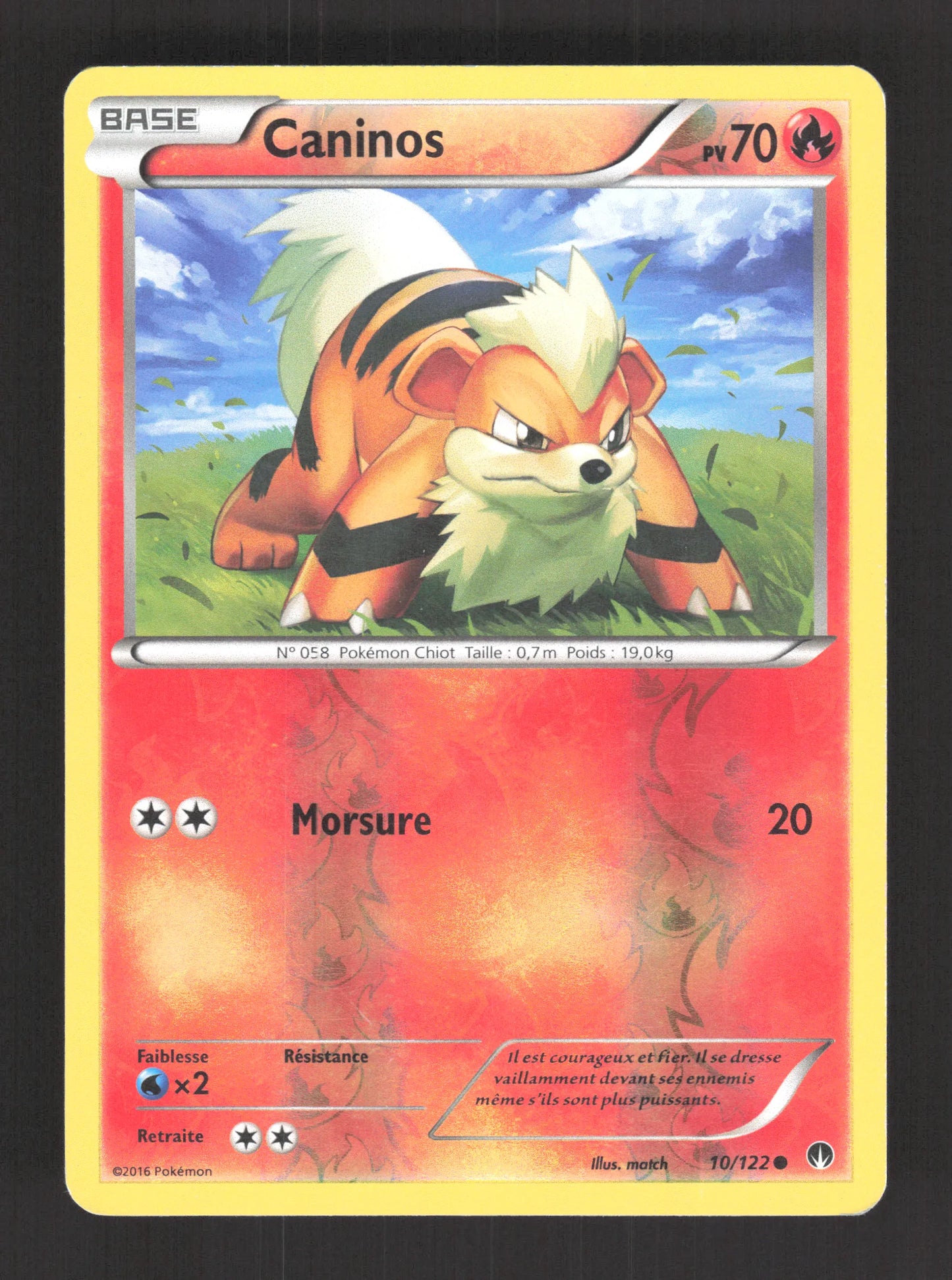 10/122 Caninos REVERSE - Rupture Turbo