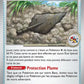 079/086 Fossile Plume Ancien POKEBALL - Flamme Blanche - Pokeball