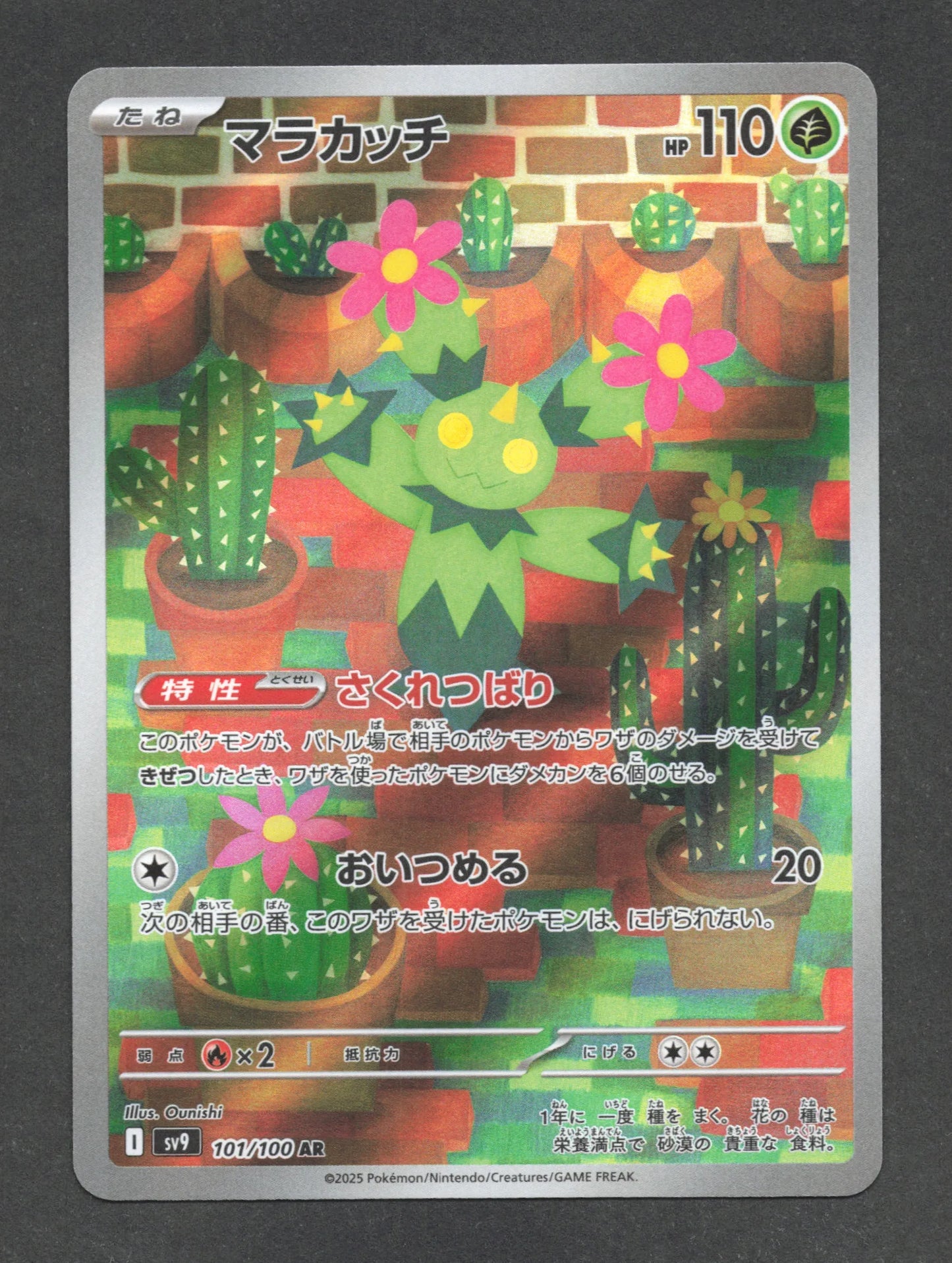 101/100 Maracachi AR JP - Battle Partners