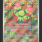 160/159 Maracachi AR - Aventures Ensemble