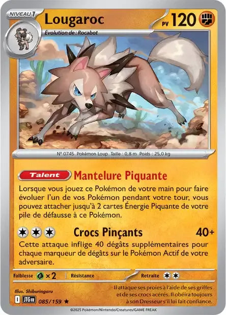 085/159 Lougaroc Holo - Aventures Ensemble