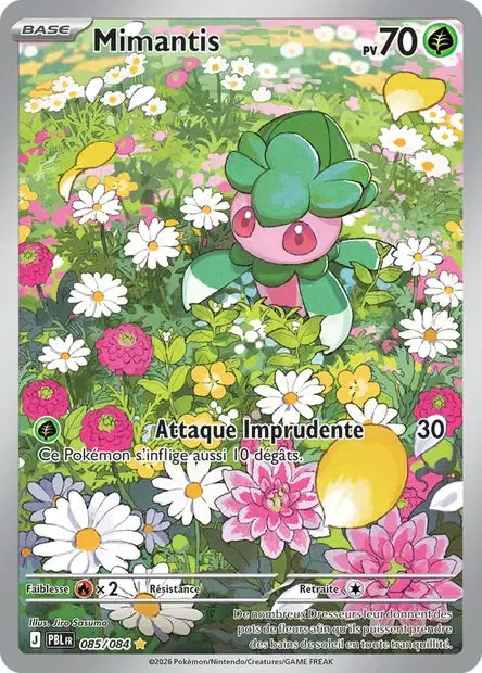 085/084 Mimantis AR - Nuit Noire