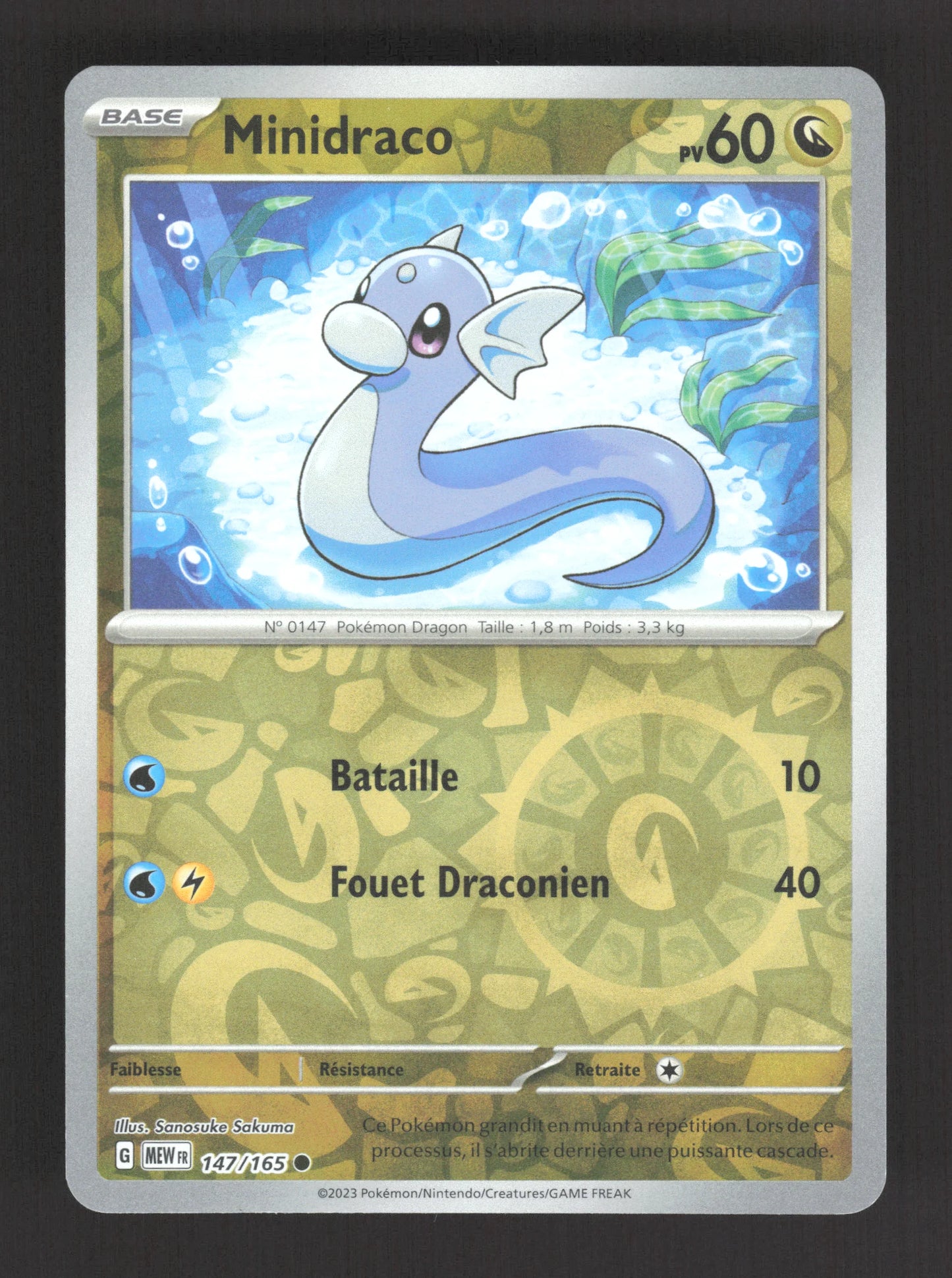 147/165 Minidraco REVERSE - 151