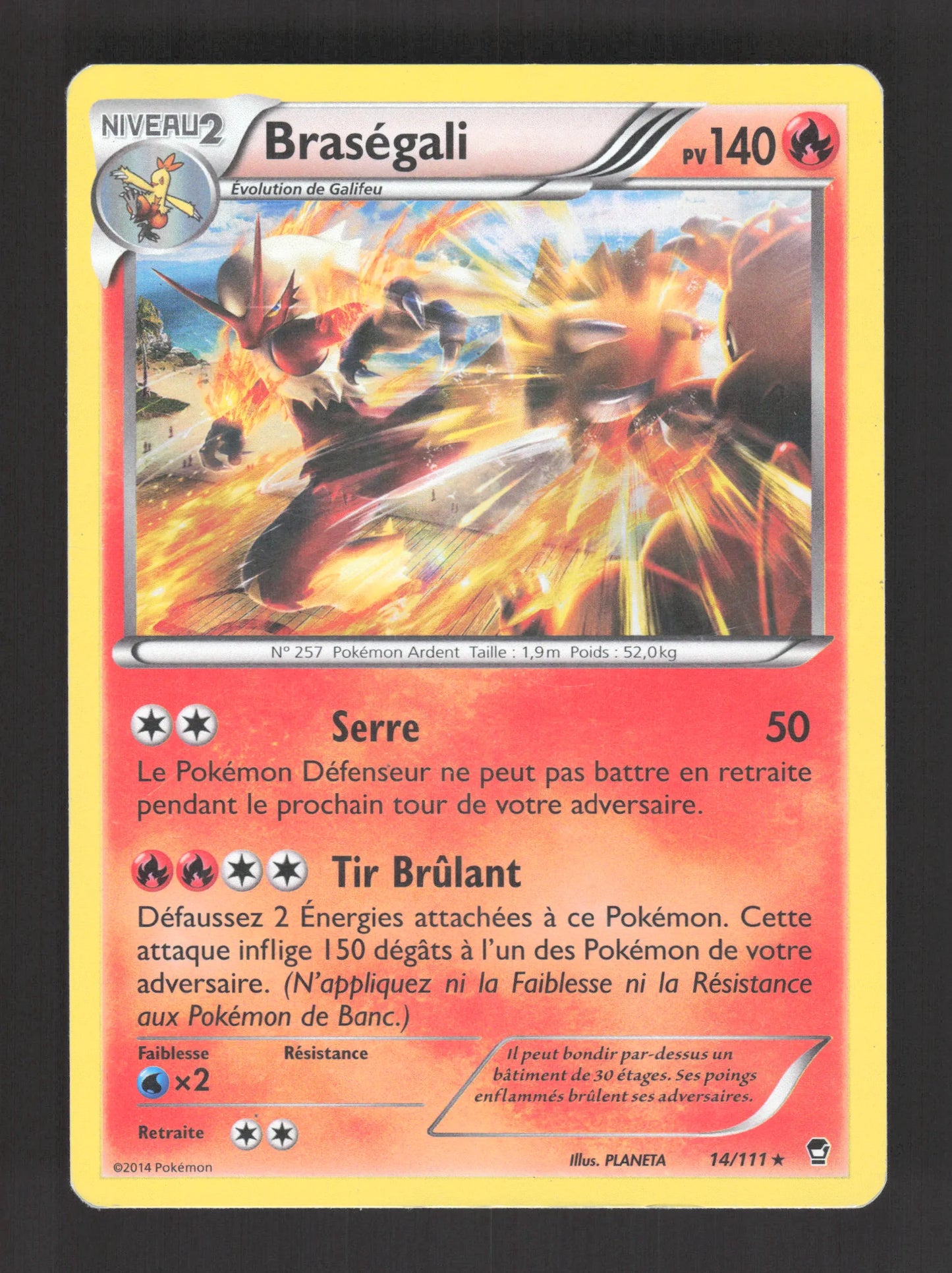 14/111 Brasegali HOLO - Poings Furieux