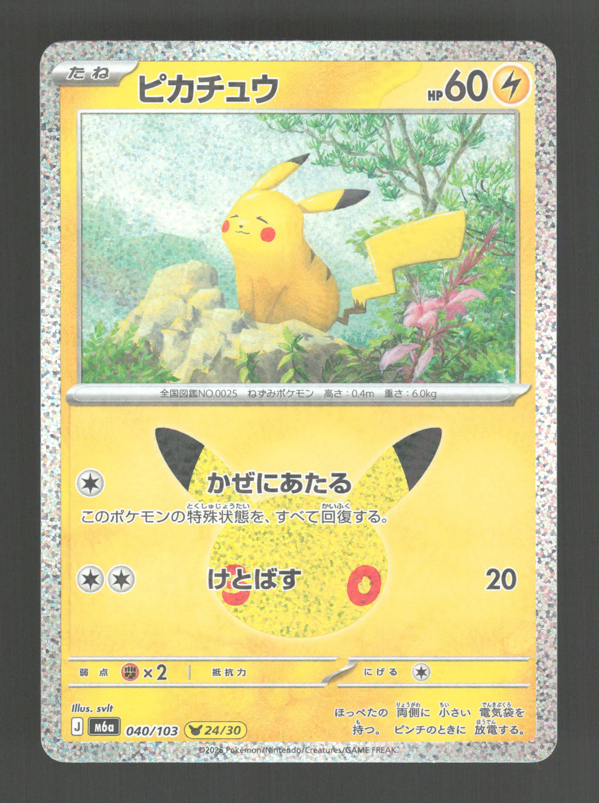 040/103 Pikachu HOLO JP - 30th Celebration